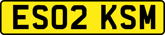 ES02KSM