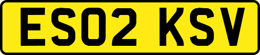 ES02KSV