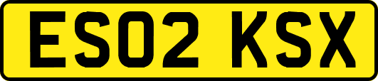 ES02KSX