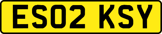 ES02KSY