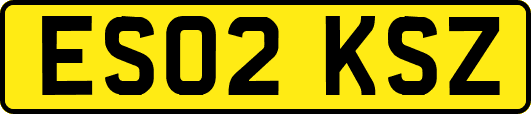 ES02KSZ