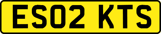 ES02KTS
