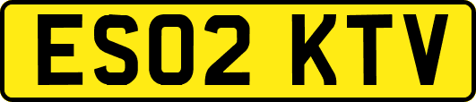 ES02KTV