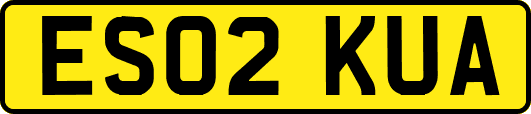 ES02KUA