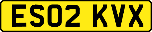 ES02KVX
