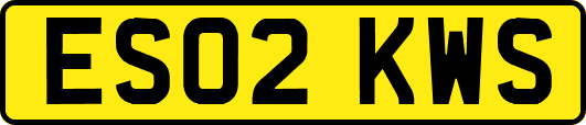 ES02KWS