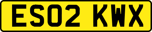 ES02KWX