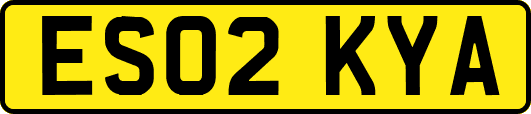 ES02KYA