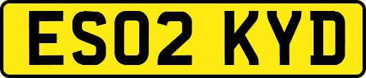 ES02KYD