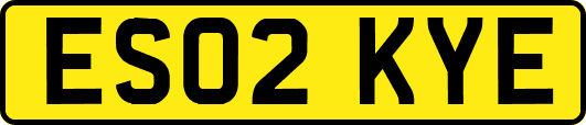 ES02KYE