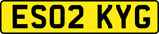 ES02KYG