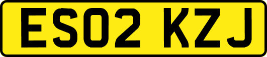 ES02KZJ