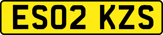 ES02KZS