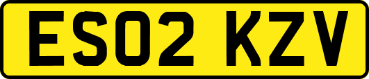 ES02KZV