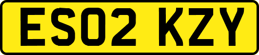 ES02KZY
