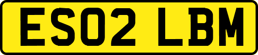 ES02LBM