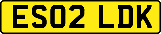 ES02LDK