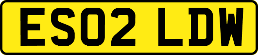 ES02LDW