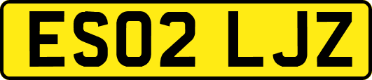 ES02LJZ