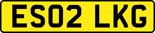 ES02LKG