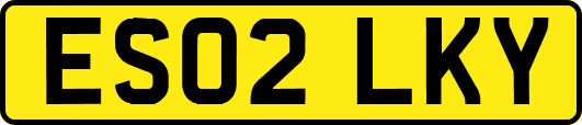 ES02LKY