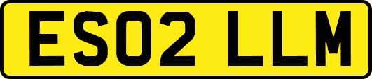 ES02LLM