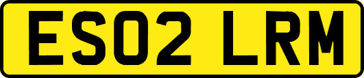 ES02LRM