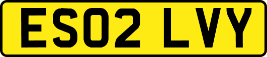 ES02LVY