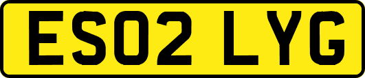 ES02LYG