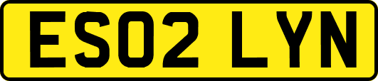 ES02LYN