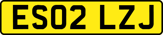 ES02LZJ
