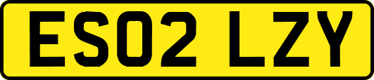 ES02LZY