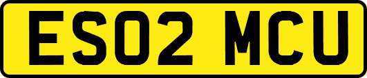 ES02MCU