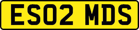 ES02MDS