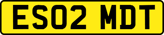 ES02MDT
