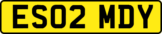 ES02MDY