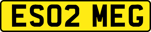 ES02MEG