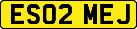 ES02MEJ