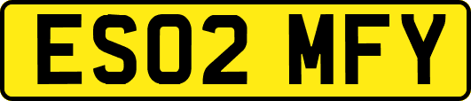 ES02MFY