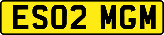 ES02MGM