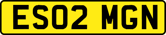 ES02MGN