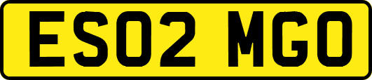 ES02MGO