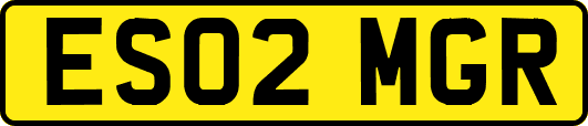 ES02MGR