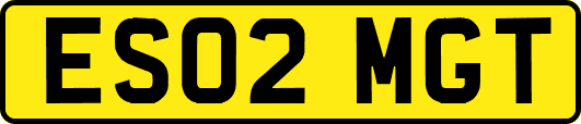 ES02MGT