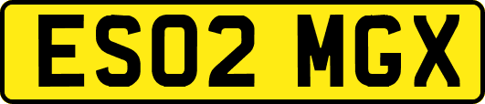 ES02MGX