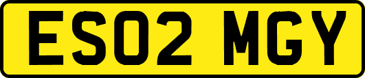 ES02MGY