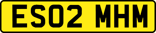 ES02MHM