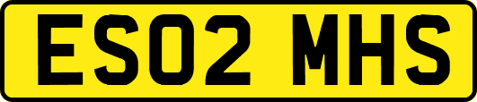 ES02MHS