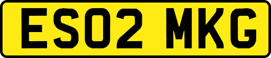 ES02MKG