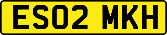 ES02MKH